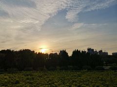 -南沙蒲洲花园