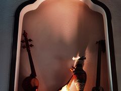 -清真·弹拨尔新疆美食餐厅(延龄巷店)