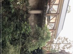 -花水湾第一村温泉大酒店