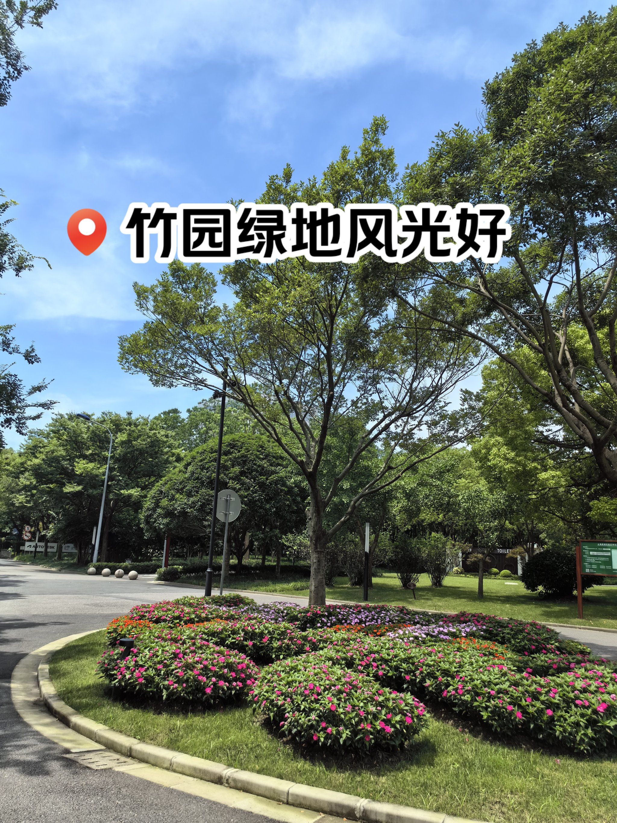 竹园绿地风光好