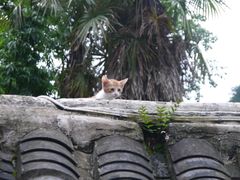 -黔灵山公园