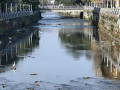 -杨柳河(地铁站)