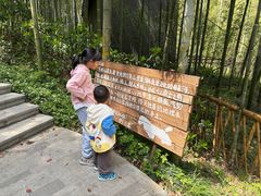 -东明山森林公园