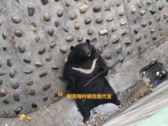 -攀枝花公园