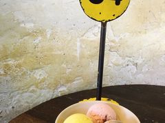 -莓园冰淇淋店