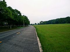 -艾溪湖湿地公园