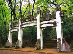 -灵谷景区