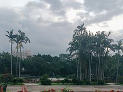 -荔湾湖公园