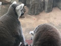 -鄂尔多斯野生动物园