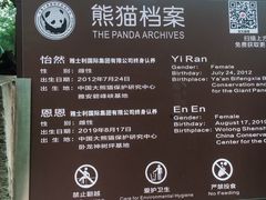 -都江堰中华大熊猫苑
