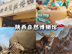 -陕西历史博物馆