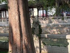 -安亭老街