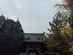-晋祠公园