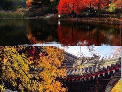 -香山公园