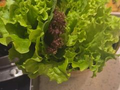 -炭之家·齐齐哈尔非遗烤肉·鲜切直供(中央大街店)