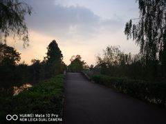 -白鹭湾湿地公园