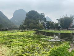 -靖西鹅泉风景区