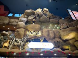 -卡通尼·Safari非洲探索乐园·生日会(金桥国际商业广场店)