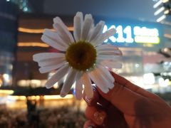 -武汉光谷K11