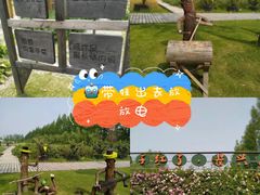 -前小桔亲子创意农场·草莓采摘·露营烧烤