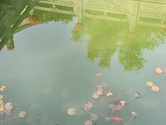 -卓刀泉寺