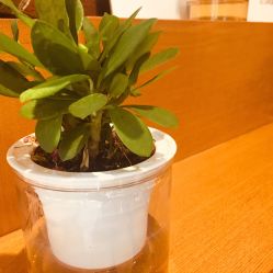 -时尚殿堂·颜SPA