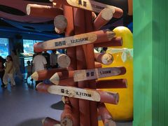 -海合安武汉极地海洋公园
