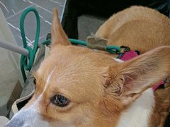 -时间仓(月湖公园店)