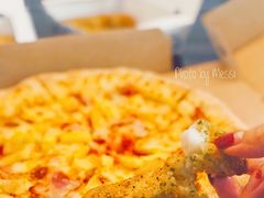 夏威夷风情pizza9英寸（双-达美乐比萨(武定店)