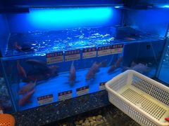 -协成海鲜火锅(海洋花园店)