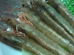 -金海阁海鲜火锅