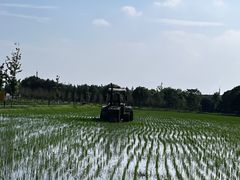 -嘉北郊野公园