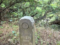 -梧桐山风景名胜区