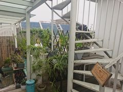 -唐咖精品咖啡(大理古城手冲店)