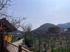 -树山生态村