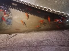 -小隐足道·按摩·主题SPA馆(西红门店)