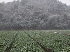 -贵阳市花溪国家城市湿地公园