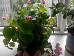 -北京同仁堂健康(成都高升桥店)