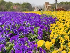 -狼山风景名胜区