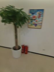 -丰联丽格医疗美容·联合丽格眼整形中心