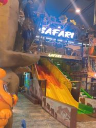 -卡通尼·Safari非洲探索乐园·生日会(金桥国际商业广场店)