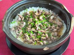 -麻奢鸽农庄·梦里水乡