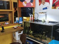 -程序员凉面
