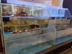 水产区-旺顺阁鱼头泡饼(小红门店)