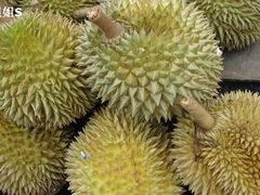 DSC04346-Durian Shop