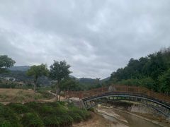 -福建土楼（华安）旅游区•大地土楼群