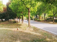-孙武文化园-停车场