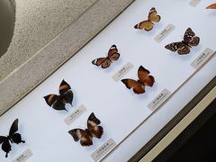 -中国湿地博物馆