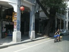 -广州都市观光巴士(粤陶巴)