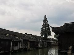 -乌镇东栅景区